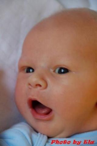 Braciszek Jakub<a href="profile.php?lookup=465"> - EMISIA</a><br/>
		         Komentarzy: 1
 Obejrzano:  28951 Ocena: <img src="images/star.gif" alt="*" style="vertical-align:middle"/><img src="images/star.gif" alt="*" style="vertical-align:middle"/><img src="images/star.gif" alt="*" style="vertical-align:middle"/><img src="images/star.gif" alt="*" style="vertical-align:middle"/><img src="images/star.gif" alt="*" style="vertical-align:middle"/>
