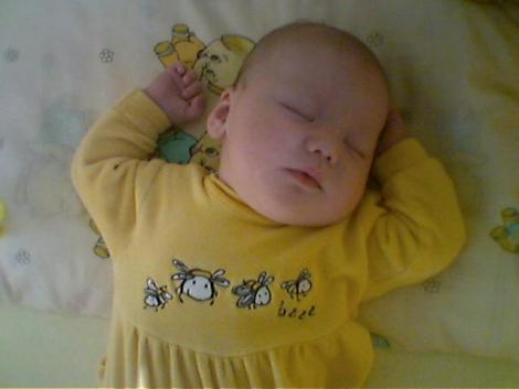 Dawidek<a href="profile.php?lookup=108"> - sylwia1310</a><br/>
		         Komentarzy: 1
 Obejrzano:  33683 Ocena: <img src="images/star.gif" alt="*" style="vertical-align:middle"/><img src="images/star.gif" alt="*" style="vertical-align:middle"/><img src="images/star.gif" alt="*" style="vertical-align:middle"/><img src="images/star.gif" alt="*" style="vertical-align:middle"/>
