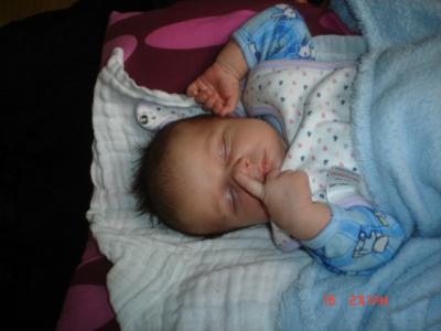 maly spioszek......<a href="profile.php?lookup=19"> - pj_owie</a><br/>
		         Komentarzy: 4
 Obejrzano:  49522 Ocena: <img src="images/star.gif" alt="*" style="vertical-align:middle"/><img src="images/star.gif" alt="*" style="vertical-align:middle"/><img src="images/star.gif" alt="*" style="vertical-align:middle"/><img src="images/star.gif" alt="*" style="vertical-align:middle"/><img src="images/star.gif" alt="*" style="vertical-align:middle"/>
