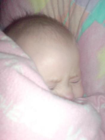 Złośnica<a href="profile.php?lookup=100"> - klaudek87</a><br/>
		         Komentarzy: 2
 Obejrzano:  32022 Ocena: Brak
