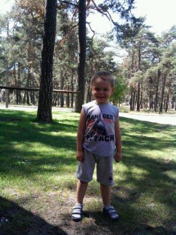 Na grzyby!<a href="profile.php?lookup=176"> - mATEUSZ f</a><br/>
		         Komentarzy: 0
 Obejrzano:  24192 Ocena: <img src="images/star.gif" alt="*" style="vertical-align:middle"/><img src="images/star.gif" alt="*" style="vertical-align:middle"/><img src="images/star.gif" alt="*" style="vertical-align:middle"/><img src="images/star.gif" alt="*" style="vertical-align:middle"/><img src="images/star.gif" alt="*" style="vertical-align:middle"/>
