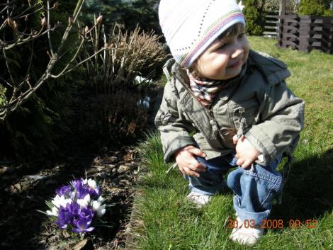 Nika w ogródku<a href="profile.php?lookup=97"> - joanna78</a><br/>
		         Komentarzy: 0
 Obejrzano:  30625 Ocena: Brak
