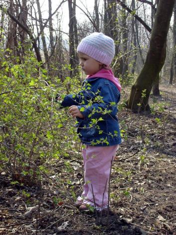 Martynka<a href="profile.php?lookup=124"> - MamaMartynki2005</a><br/>
		         Komentarzy: 0
 Obejrzano:  30202 Ocena: Brak
