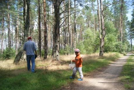 Nie ma Grzybów:-)<a href="profile.php?lookup=213"> - Aleks</a><br/>
		         Komentarzy: 0
 Obejrzano:  26007 Ocena: Brak
