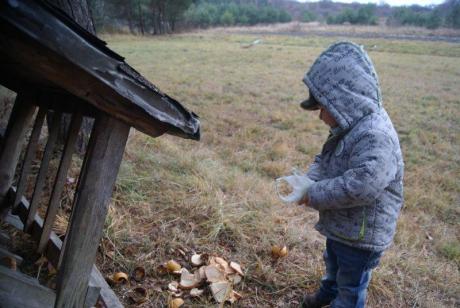 Dokarmianie leśnych zwierząt<a href="profile.php?lookup=213"> - Aleks</a><br/>
		         Komentarzy: 0
 Obejrzano:  24114 Ocena: Brak
