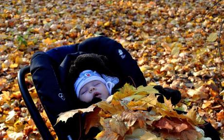 zuzia jesienią<a href="profile.php?lookup=847"> - wuefka</a><br/>
		         Komentarzy: 1
 Obejrzano:  27270 Ocena: Brak
