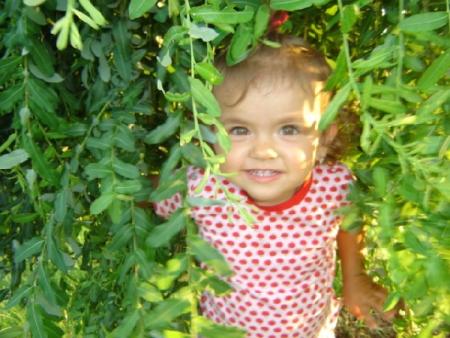 Pati w ogrodzie 2<a href="profile.php?lookup=32"> - monika0963</a><br/>
		         Komentarzy: 2
 Obejrzano:  37375 Ocena: <img src="images/star.gif" alt="*" style="vertical-align:middle"/><img src="images/star.gif" alt="*" style="vertical-align:middle"/><img src="images/star.gif" alt="*" style="vertical-align:middle"/><img src="images/star.gif" alt="*" style="vertical-align:middle"/>
