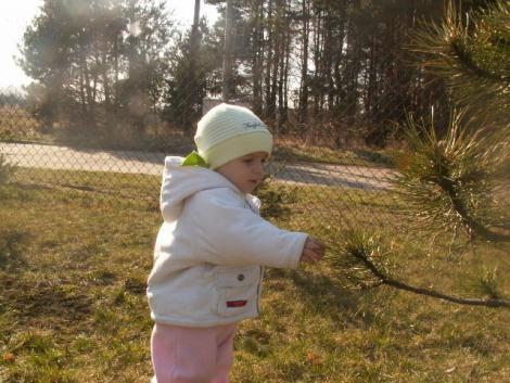 OLIWKA<a href="profile.php?lookup=57"> - agaswa</a><br/>
		         Komentarzy: 0
 Obejrzano:  32171 Ocena: Brak
