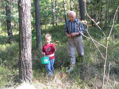 wyprawa leśna<a href="profile.php?lookup=158"> - aneta</a><br/>
		         Komentarzy: 0
 Obejrzano:  40635 Ocena: Brak
