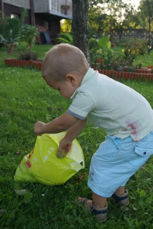 Pomagam pra dziadkowi zbierać owoce<a href="profile.php?lookup=213"> - Aleks</a><br/>
		         Komentarzy: 3
 Obejrzano:  28845 Ocena: <img src="images/star.gif" alt="*" style="vertical-align:middle"/><img src="images/star.gif" alt="*" style="vertical-align:middle"/><img src="images/star.gif" alt="*" style="vertical-align:middle"/><img src="images/star.gif" alt="*" style="vertical-align:middle"/><img src="images/star.gif" alt="*" style="vertical-align:middle"/>
