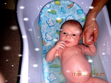 Maleństwo<a href="profile.php?lookup=146"> - ela273</a><br/>
		         Komentarzy: 0
 Obejrzano:  33073 Ocena: Brak
