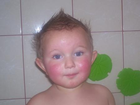 Wodniczek Szuwarek<a href="profile.php?lookup=20"> - biba1978</a><br/>
		         Komentarzy: 0
 Obejrzano:  44727 Ocena: Brak
