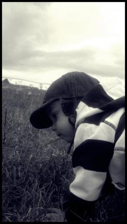 Ksieciunioo<a href="profile.php?lookup=839"> - Paulina90a</a><br/>
		         Komentarzy: 0
 Obejrzano:  26245 Ocena: <img src="images/star.gif" alt="*" style="vertical-align:middle"/><img src="images/star.gif" alt="*" style="vertical-align:middle"/><img src="images/star.gif" alt="*" style="vertical-align:middle"/><img src="images/star.gif" alt="*" style="vertical-align:middle"/>
