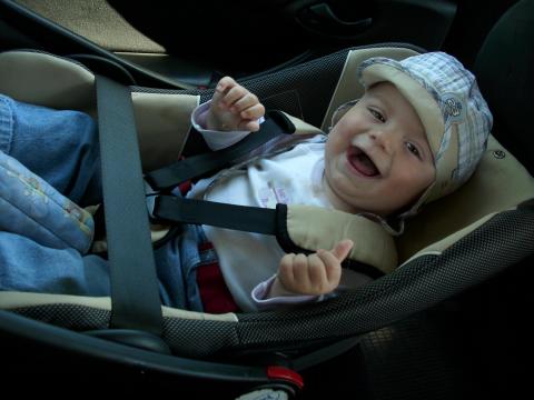 hurrraaaa jedziemy !<a href="profile.php?lookup=352"> - senepa</a><br/>
		         Komentarzy: 0
 Obejrzano:  26858 Ocena: Brak
