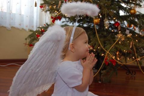 Świąteczne<a href="profile.php?lookup=465"> - EMISIA</a><br/>
		         Komentarzy: 1
 Obejrzano:  37771 Ocena: <img src="images/star.gif" alt="*" style="vertical-align:middle"/><img src="images/star.gif" alt="*" style="vertical-align:middle"/><img src="images/star.gif" alt="*" style="vertical-align:middle"/><img src="images/star.gif" alt="*" style="vertical-align:middle"/><img src="images/star.gif" alt="*" style="vertical-align:middle"/>
