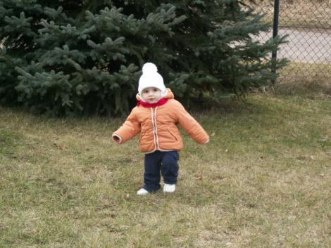 Oliwka<a href="profile.php?lookup=57"> - agaswa</a><br/>
		         Komentarzy: 0
 Obejrzano:  33154 Ocena: Brak
