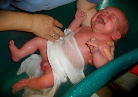 płacz promyczka<a href="profile.php?lookup=352"> - senepa</a><br/>
		         Komentarzy: 0
 Obejrzano:  34905 Ocena: Brak
