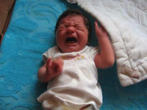 julka kulka<a href="profile.php?lookup=282"> - anulka0072</a><br/>
		         Komentarzy: 2
 Obejrzano:  34966 Ocena: <img src="images/star.gif" alt="*" style="vertical-align:middle"/><img src="images/star.gif" alt="*" style="vertical-align:middle"/><img src="images/star.gif" alt="*" style="vertical-align:middle"/><img src="images/star.gif" alt="*" style="vertical-align:middle"/>
