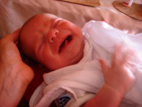 :(<a href="profile.php?lookup=352"> - senepa</a><br/>
		         Komentarzy: 0
 Obejrzano:  35128 Ocena: Brak
