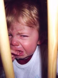 Zamknęli! Zapomnieli! Zostałem sam!<a href="profile.php?lookup=1"> - piotr</a><br/>
		         Komentarzy: 2
 Obejrzano:  45831 Ocena: <img src="images/star.gif" alt="*" style="vertical-align:middle"/><img src="images/star.gif" alt="*" style="vertical-align:middle"/><img src="images/star.gif" alt="*" style="vertical-align:middle"/><img src="images/star.gif" alt="*" style="vertical-align:middle"/>
