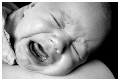 Płacz<a href="profile.php?lookup=128"> - bialalis</a><br/>
		         Komentarzy: 1
 Obejrzano:  34018 Ocena: Brak
