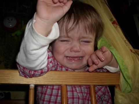  mamo  gdzie jesteś ..?<a href="profile.php?lookup=352"> - senepa</a><br/>
		         Komentarzy: 0
 Obejrzano:  31411 Ocena: Brak
