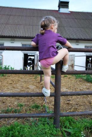 już cię uratuję cielaczku ;)<a href="profile.php?lookup=240"> - maama</a><br/>
		         Komentarzy: 1
 Obejrzano:  24028 Ocena: <img src="images/star.gif" alt="*" style="vertical-align:middle"/><img src="images/star.gif" alt="*" style="vertical-align:middle"/><img src="images/star.gif" alt="*" style="vertical-align:middle"/><img src="images/star.gif" alt="*" style="vertical-align:middle"/><img src="images/star.gif" alt="*" style="vertical-align:middle"/>
