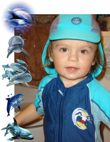 mój dzielny pływak<a href="profile.php?lookup=352"> - senepa</a><br/>
		         Komentarzy: 0
 Obejrzano:  27377 Ocena: Brak
