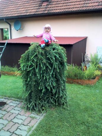 wiki<a href="profile.php?lookup=864"> - wiki</a><br/>
		         Komentarzy: 1
 Obejrzano:  24761 Ocena: <img src="images/star.gif" alt="*" style="vertical-align:middle"/><img src="images/star.gif" alt="*" style="vertical-align:middle"/><img src="images/star.gif" alt="*" style="vertical-align:middle"/><img src="images/star.gif" alt="*" style="vertical-align:middle"/><img src="images/star.gif" alt="*" style="vertical-align:middle"/>
