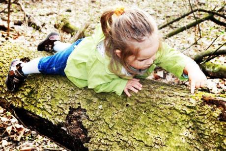 są mrówy mamo!!!<a href="profile.php?lookup=240"> - maama</a><br/>
		         Komentarzy: 2
 Obejrzano:  25077 Ocena: <img src="images/star.gif" alt="*" style="vertical-align:middle"/><img src="images/star.gif" alt="*" style="vertical-align:middle"/><img src="images/star.gif" alt="*" style="vertical-align:middle"/><img src="images/star.gif" alt="*" style="vertical-align:middle"/><img src="images/star.gif" alt="*" style="vertical-align:middle"/>
