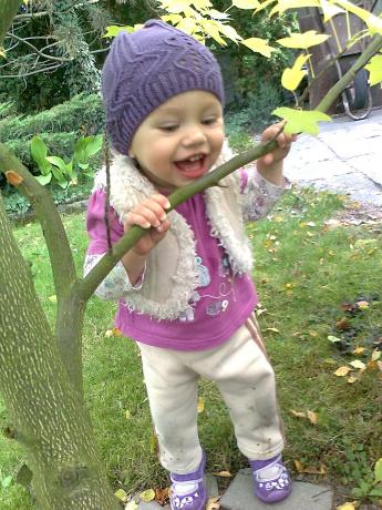 zuza 1 rok<a href="profile.php?lookup=847"> - wuefka</a><br/>
		         Komentarzy: 0
 Obejrzano:  23322 Ocena: Brak
