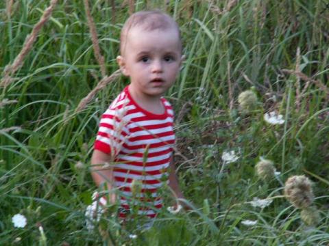 Na zielonej trawce<a href="profile.php?lookup=57"> - agaswa</a><br/>
		         Komentarzy: 0
 Obejrzano:  37274 Ocena: Brak
