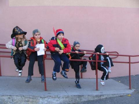 Halloween<a href="profile.php?lookup=158"> - aneta</a><br/>
		         Komentarzy: 0
 Obejrzano:  29804 Ocena: Brak
