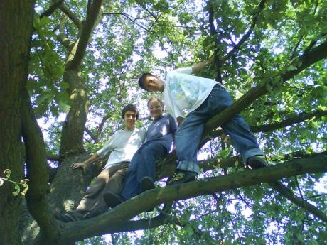 *@*<a href="profile.php?lookup=388"> - Alex</a><br/>
		         Komentarzy: 0
 Obejrzano:  32537 Ocena: Brak
