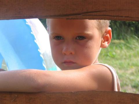 Maksymilian<a href="profile.php?lookup=158"> - aneta</a><br/>
		         Komentarzy: 1
 Obejrzano:  43109 Ocena: <img src="images/star.gif" alt="*" style="vertical-align:middle"/><img src="images/star.gif" alt="*" style="vertical-align:middle"/><img src="images/star.gif" alt="*" style="vertical-align:middle"/><img src="images/star.gif" alt="*" style="vertical-align:middle"/>
