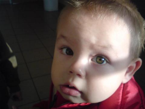 czy te oczy mogą kłamać<a href="profile.php?lookup=176"> - mATEUSZ f</a><br/>
		         Komentarzy: 2
 Obejrzano:  34539 Ocena: <img src="images/star.gif" alt="*" style="vertical-align:middle"/><img src="images/star.gif" alt="*" style="vertical-align:middle"/><img src="images/star.gif" alt="*" style="vertical-align:middle"/><img src="images/star.gif" alt="*" style="vertical-align:middle"/><img src="images/star.gif" alt="*" style="vertical-align:middle"/>
