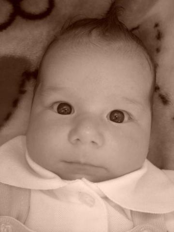 Aleks<a href="profile.php?lookup=213"> - Aleks</a><br/>
		         Komentarzy: 1
 Obejrzano:  36394 Ocena: <img src="images/star.gif" alt="*" style="vertical-align:middle"/><img src="images/star.gif" alt="*" style="vertical-align:middle"/><img src="images/star.gif" alt="*" style="vertical-align:middle"/><img src="images/star.gif" alt="*" style="vertical-align:middle"/><img src="images/star.gif" alt="*" style="vertical-align:middle"/>
