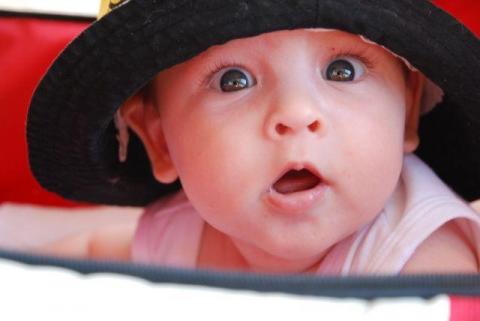 kapelutek...<a href="profile.php?lookup=240"> - maama</a><br/>
		         Komentarzy: 5
 Obejrzano:  46363 Ocena: <img src="images/star.gif" alt="*" style="vertical-align:middle"/><img src="images/star.gif" alt="*" style="vertical-align:middle"/><img src="images/star.gif" alt="*" style="vertical-align:middle"/><img src="images/star.gif" alt="*" style="vertical-align:middle"/><img src="images/star.gif" alt="*" style="vertical-align:middle"/>
