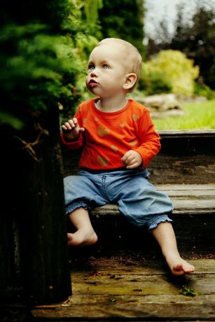 zuza sesja<a href="profile.php?lookup=847"> - wuefka</a><br/>
		         Komentarzy: 1
 Obejrzano:  30823 Ocena: Brak
