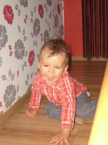 wiktoruś<a href="profile.php?lookup=246"> - kasia dominik</a><br/>
		         Komentarzy: 0
 Obejrzano:  36346 Ocena: Brak
