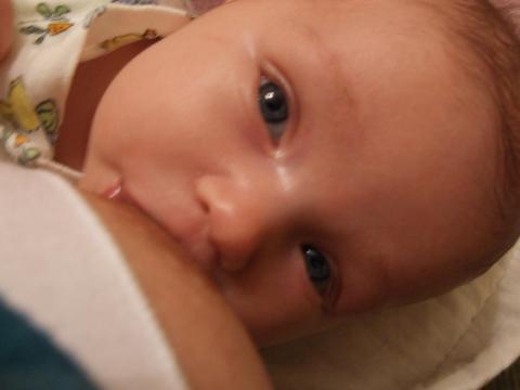 Moja pora na kanapke<a href="profile.php?lookup=471"> - ilona-sz</a><br/>
		         Komentarzy: 1
 Obejrzano:  27148 Ocena: Brak
