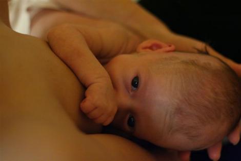 Najlepiej u mamy<a href="profile.php?lookup=104"> - tobi2007</a><br/>
		         Komentarzy: 0
 Obejrzano:  31444 Ocena: <img src="images/star.gif" alt="*" style="vertical-align:middle"/><img src="images/star.gif" alt="*" style="vertical-align:middle"/><img src="images/star.gif" alt="*" style="vertical-align:middle"/><img src="images/star.gif" alt="*" style="vertical-align:middle"/><img src="images/star.gif" alt="*" style="vertical-align:middle"/>
