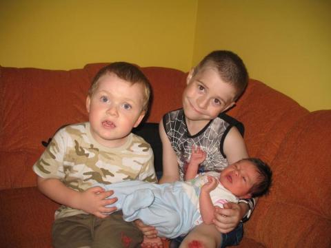 Rodzeństwo<a href="profile.php?lookup=228"> - emis73</a><br/>
		         Komentarzy: 0
 Obejrzano:  37731 Ocena: Brak
